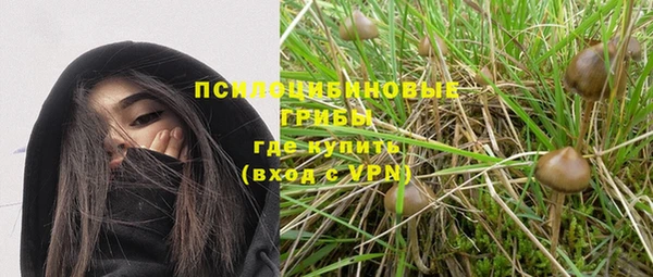 скорость Алексин