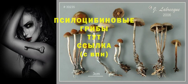 мескалин Алзамай