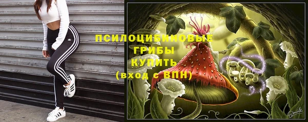 дурь Алексеевка