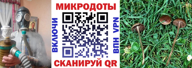 Галлюциногенные грибы прущие грибы  Котлас 