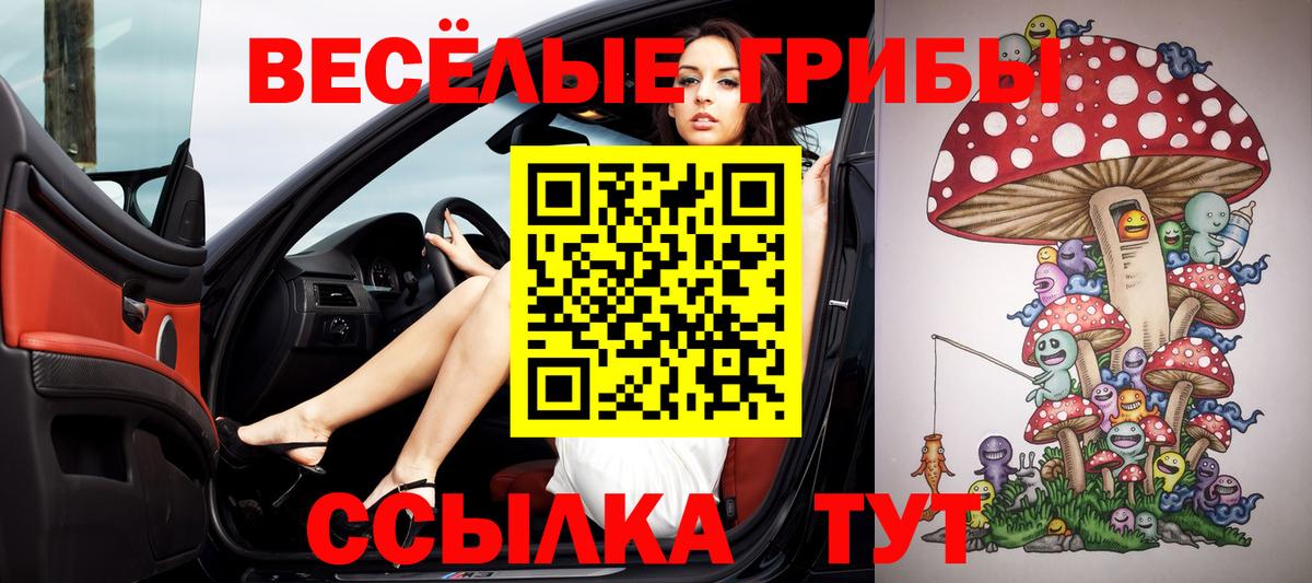 Галлюциногенные грибы мицелий Котлас