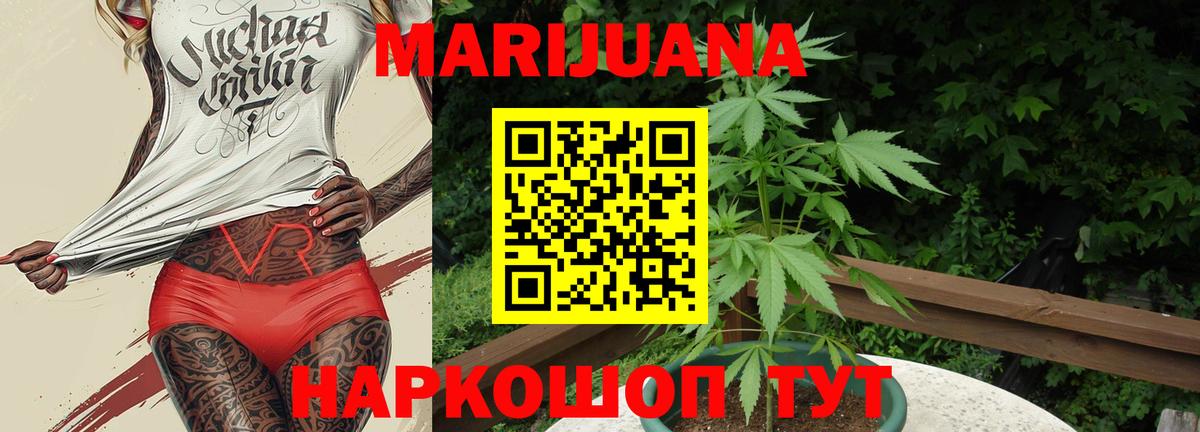 Бошки марихуана AK-47  Шишки марихуана гибрид  Котлас  Вход с VPN  Марихуана планчик 